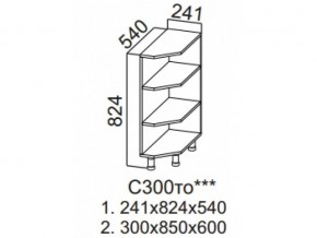 С300то Стол-рабочий 300 (торцевой открытый) в Ирбите - irbit.магазин96.com | фото