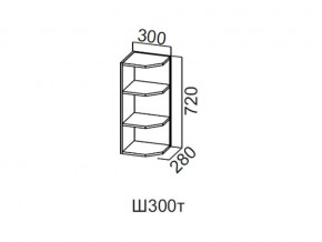 Ш300т/720 Шкаф навесной 300/720 (торцевой) в Ирбите - irbit.магазин96.com | фото