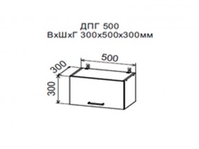 Шкаф верхний ДПГ500 горизонтальный в Ирбите - irbit.магазин96.com | фото