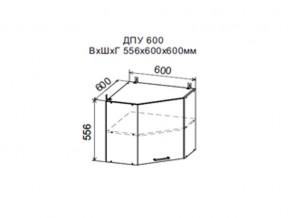 Шкаф верхний ДПУ600 угловой в Ирбите - irbit.магазин96.com | фото